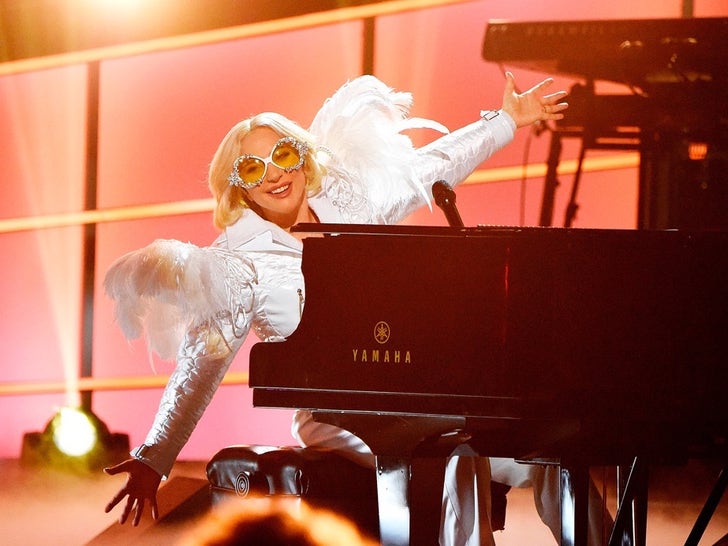 Lady Gaga's Performance Photos