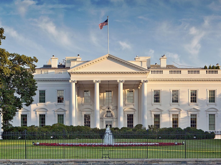 the white house