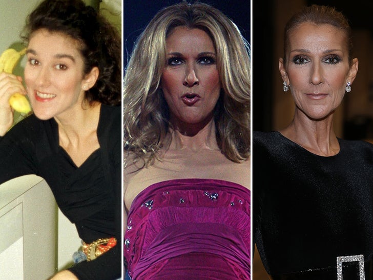 Celine Dion Through The Years