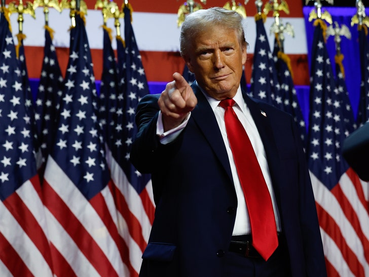 Donald Trump Wins The 2024 Presidential Election