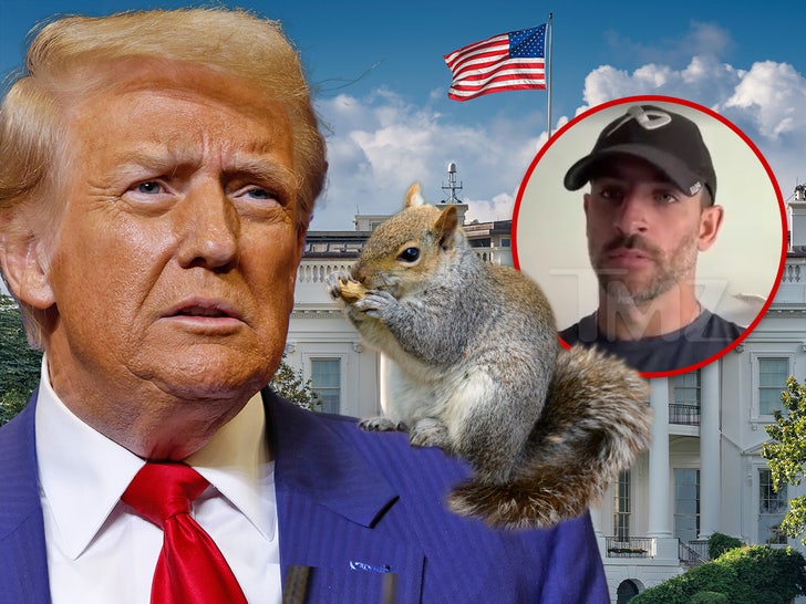 Peanut the Squirrel Controversy Likely Contributed to Trump Win, Owner Believes