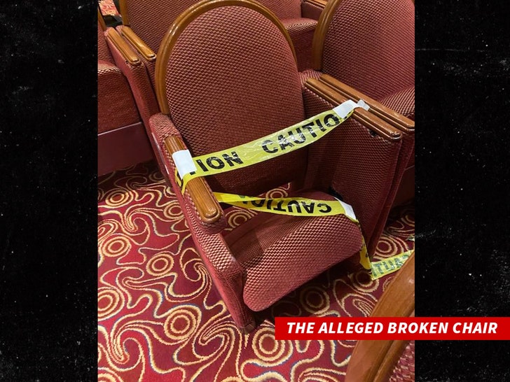 princess cruise lines the alleged broken chair