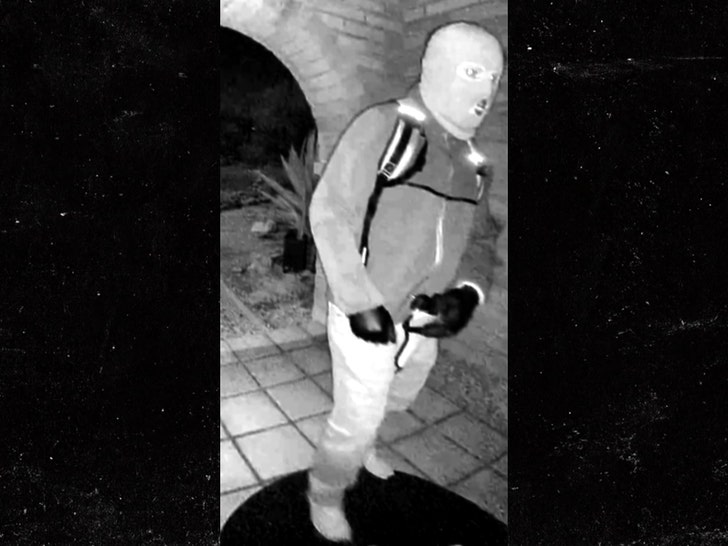 nancy-guthrie-nest-video-suspect-1