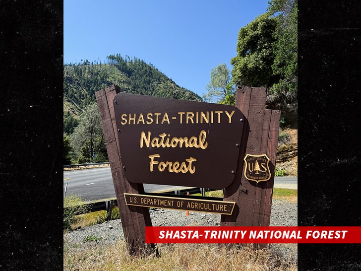 sub-Shasta-Trinity-National-Forest-getty-2