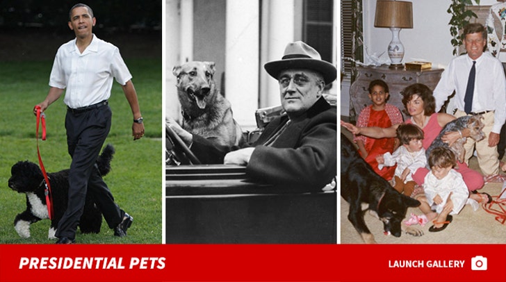 Presidential Pooches -- Through the Years