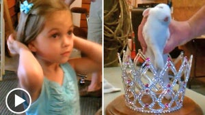 'Toddlers and Tiaras' Kid -- My Dead Bunny Deserves the Crown