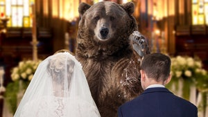 Cocaine Bear to Officiate Kentucky Couple's Wedding