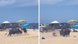 Bull Attacks Female Tourist on Cabo Beach, Horrifying Video