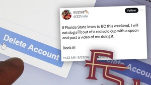 florida state fan