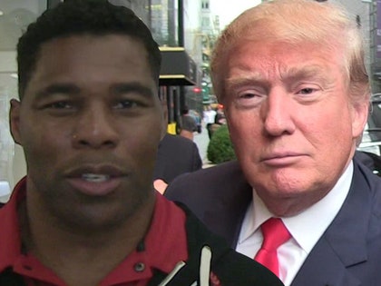 1211_Herschel-Walker_trump_tmz