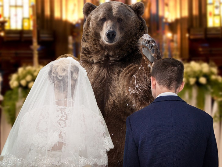 cocaine bear wedding