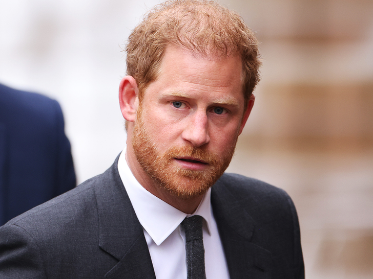 police protection prince harry