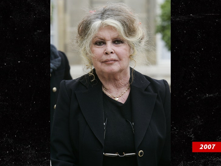 Brigitte Bardot 2007 getty 1