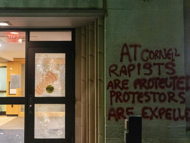 cornell vandalism Varsha Bhargava - The Cornell Daily Sun 3