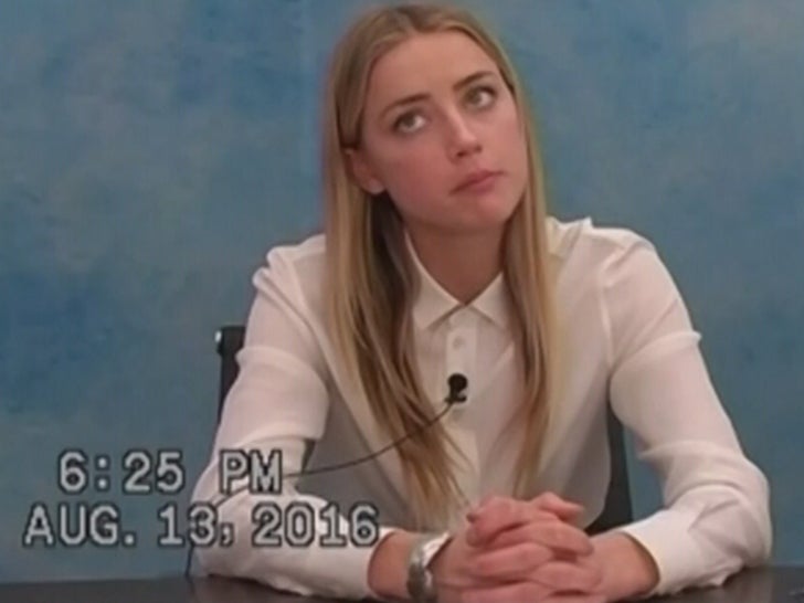 2022 New Amber Heard Tmz amber heard talking about dog stepping on a bee