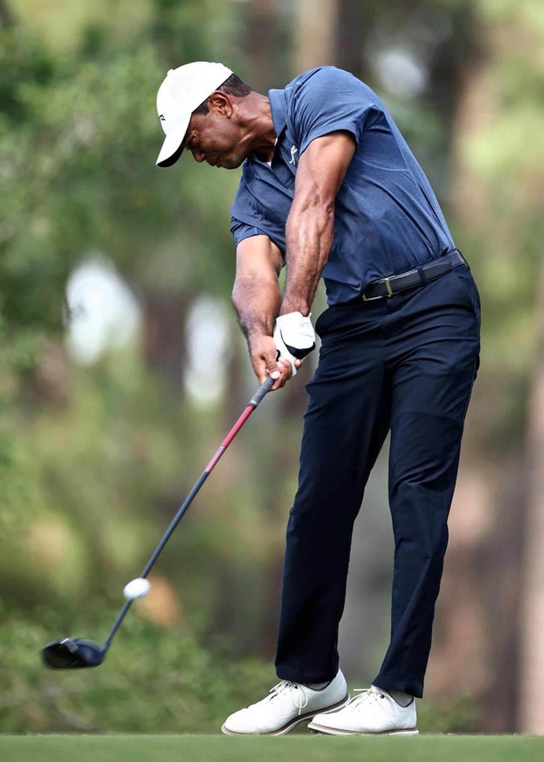 Tiger Woods Swingin Shots 1