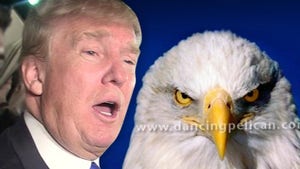 Donald Trump Campaign Sued -- Make America Great, But NOT with Our Majestic Eagle