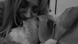 Kaley Cuoco's Dog, Norman, Dies