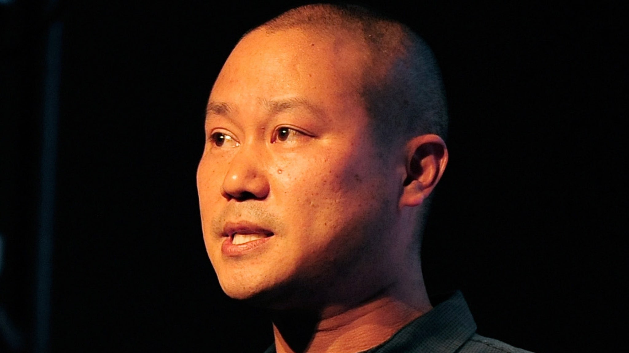 Ex-Zappos CEO Tony Hsieh's Estate Hit with $40k Bill for Brain Artwork