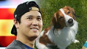 shohei ohtani decoy main getty instagram