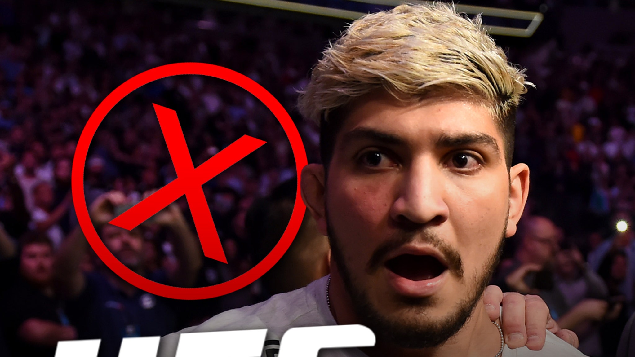 Dillon Danis Banned From UFC After Brawl, Dana White Says Dillon Danis Banned From UFC After Brawl, Dana White Says