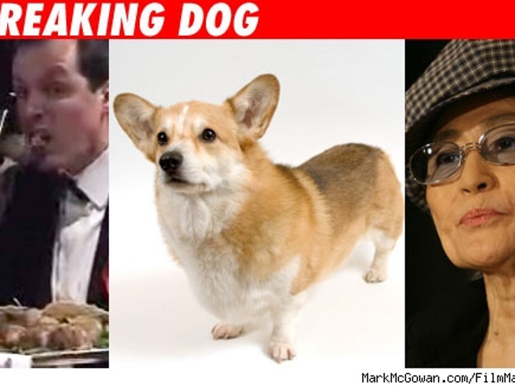 Artist eats dog, with Yoko Ono