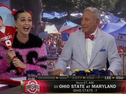 100414_katy_perry_primary