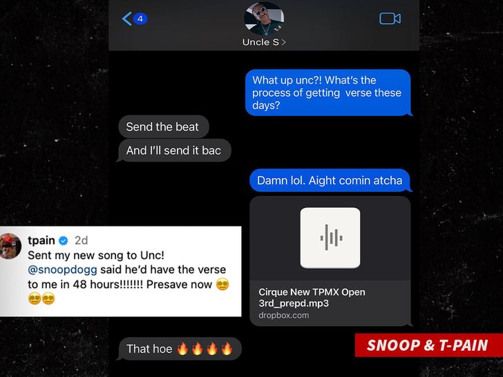 t pain snoop dogg texts