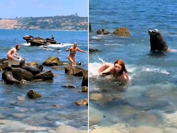 girls chased by sea lions main
