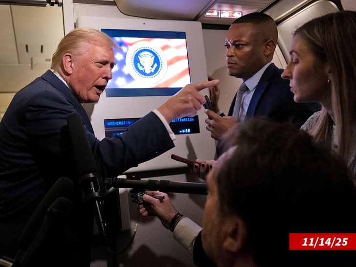 donald trump Catherine Lucey piggy reporter sub getty swipe