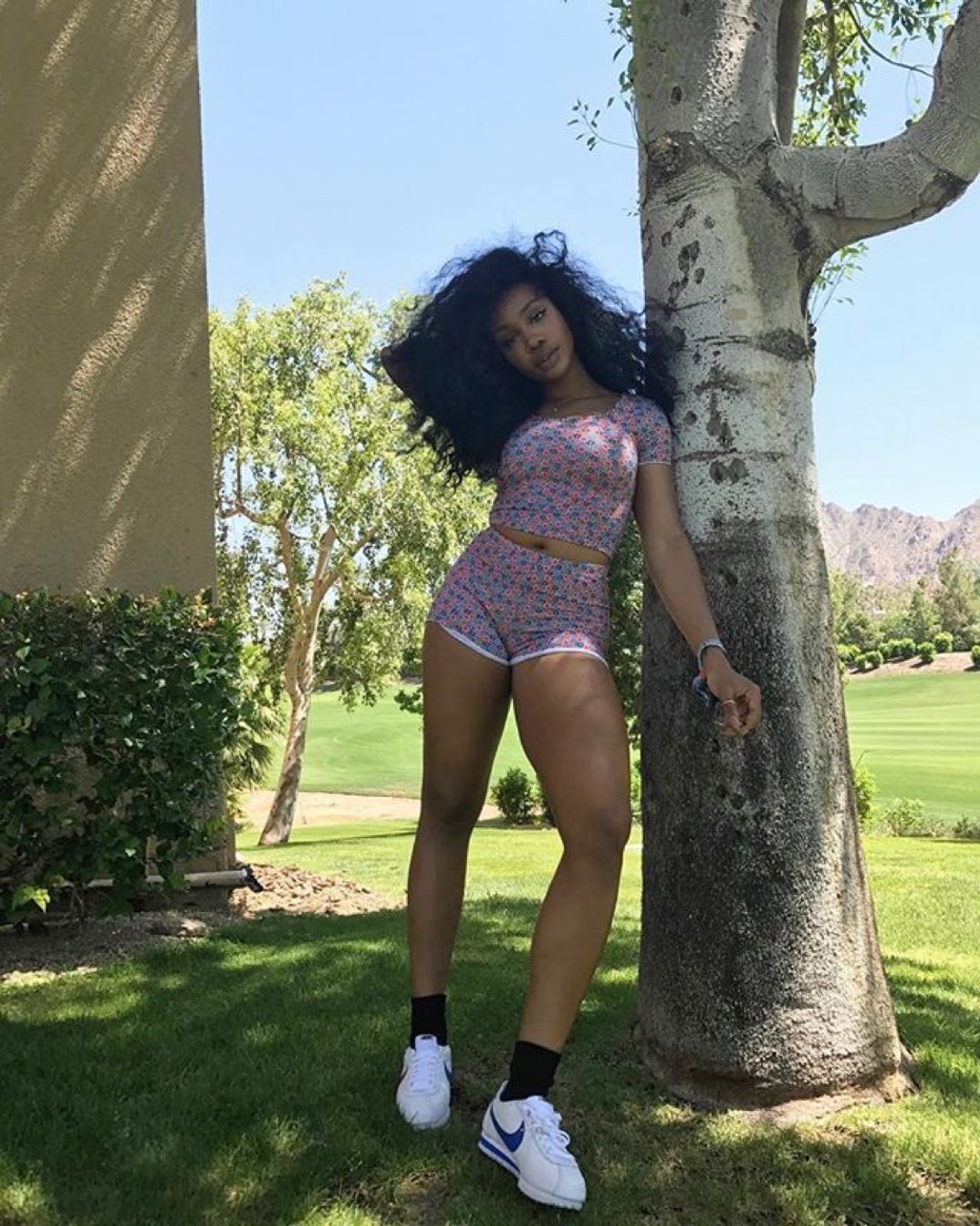 17882712_1219185011541124_5685193624975835136_n