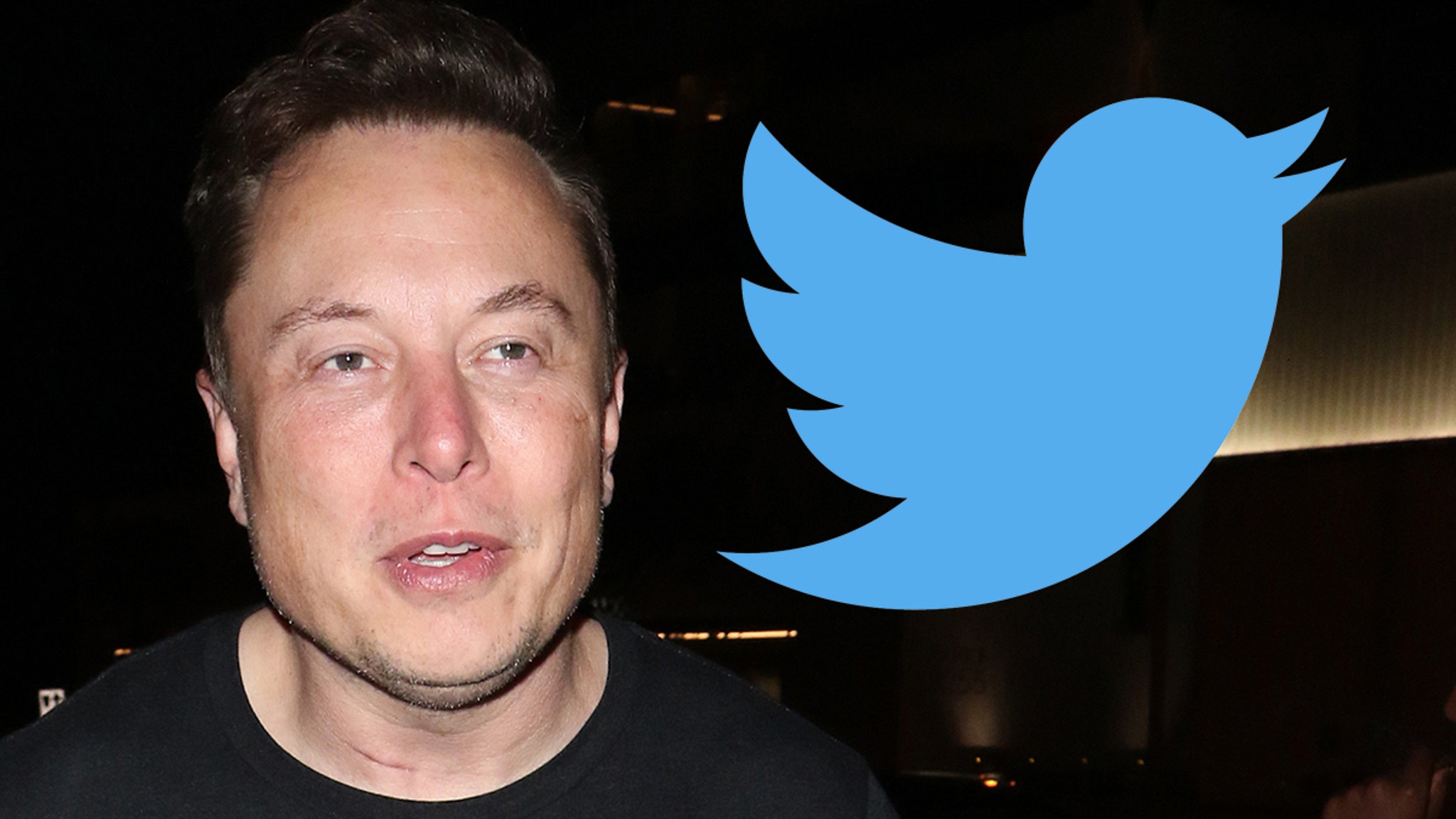 Elon Musk retrasa la tarifa de verificación de Twitter de $ 7.99 debido a las elecciones de mitad de período