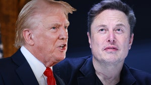 trump and elon musk interview main