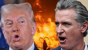 donald trump gavin newsom palisades fires