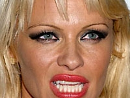 pam_anderson_2_wi