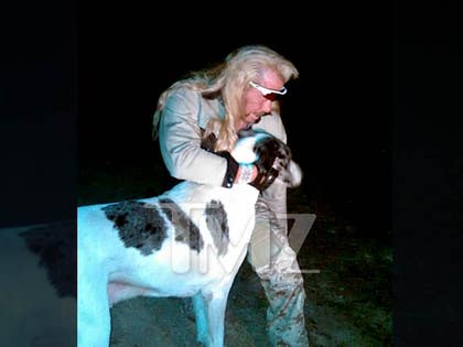 0330-dog-bounty-tmz-01