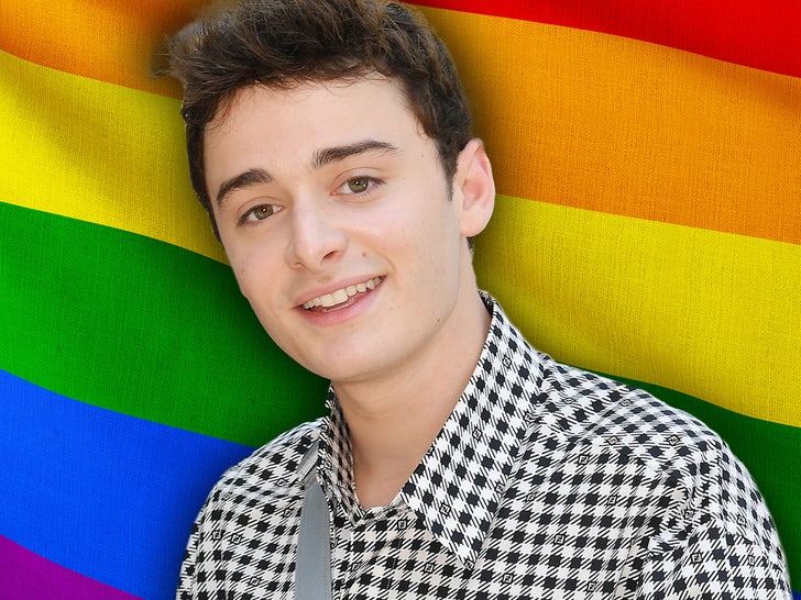 Stranger Things' Star Noah Schnapp Comes Out as Gay