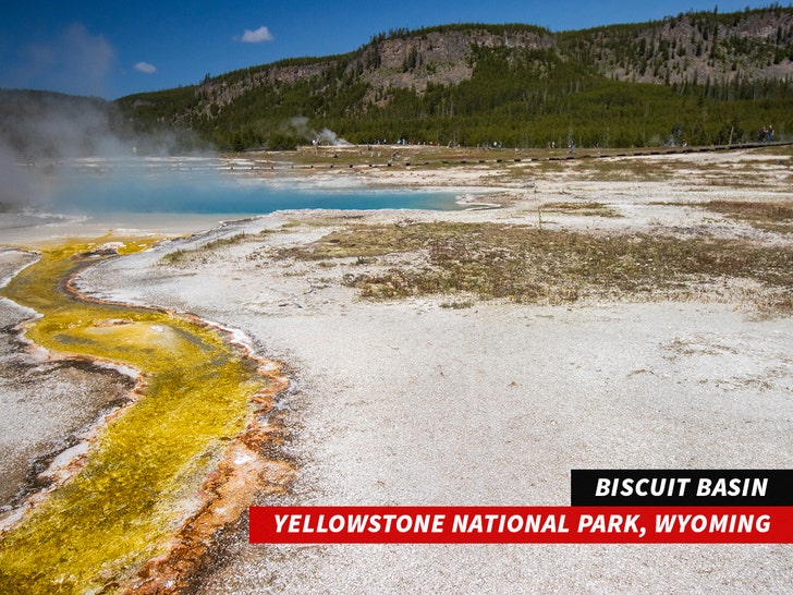 Yellowstone National Park, Wyoming Biscuit Basin