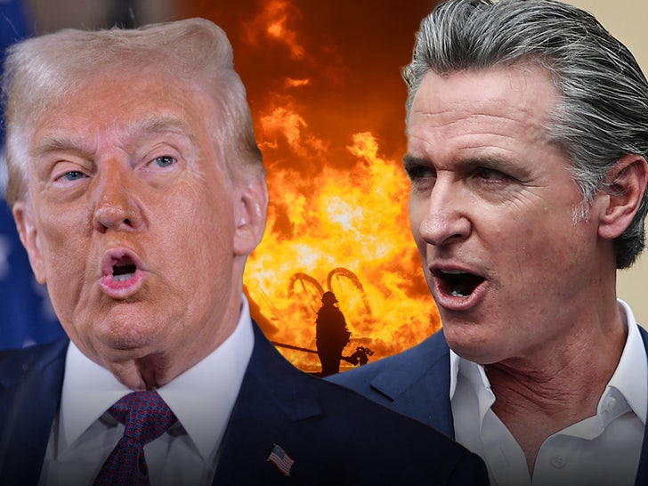 Donald Trump Gavin Newsom Palisades on fire