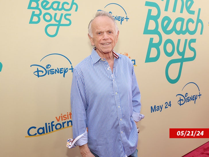 Al Jardine beach boys sub getty furto