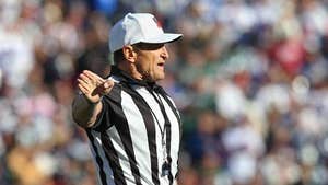 NFL Players Concerned Over REAL Refs -- 'They're Coming Off Cold Turkey'
