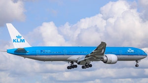 Another Dog Dies on KLM Flight Due to Alleged Heat Stroke