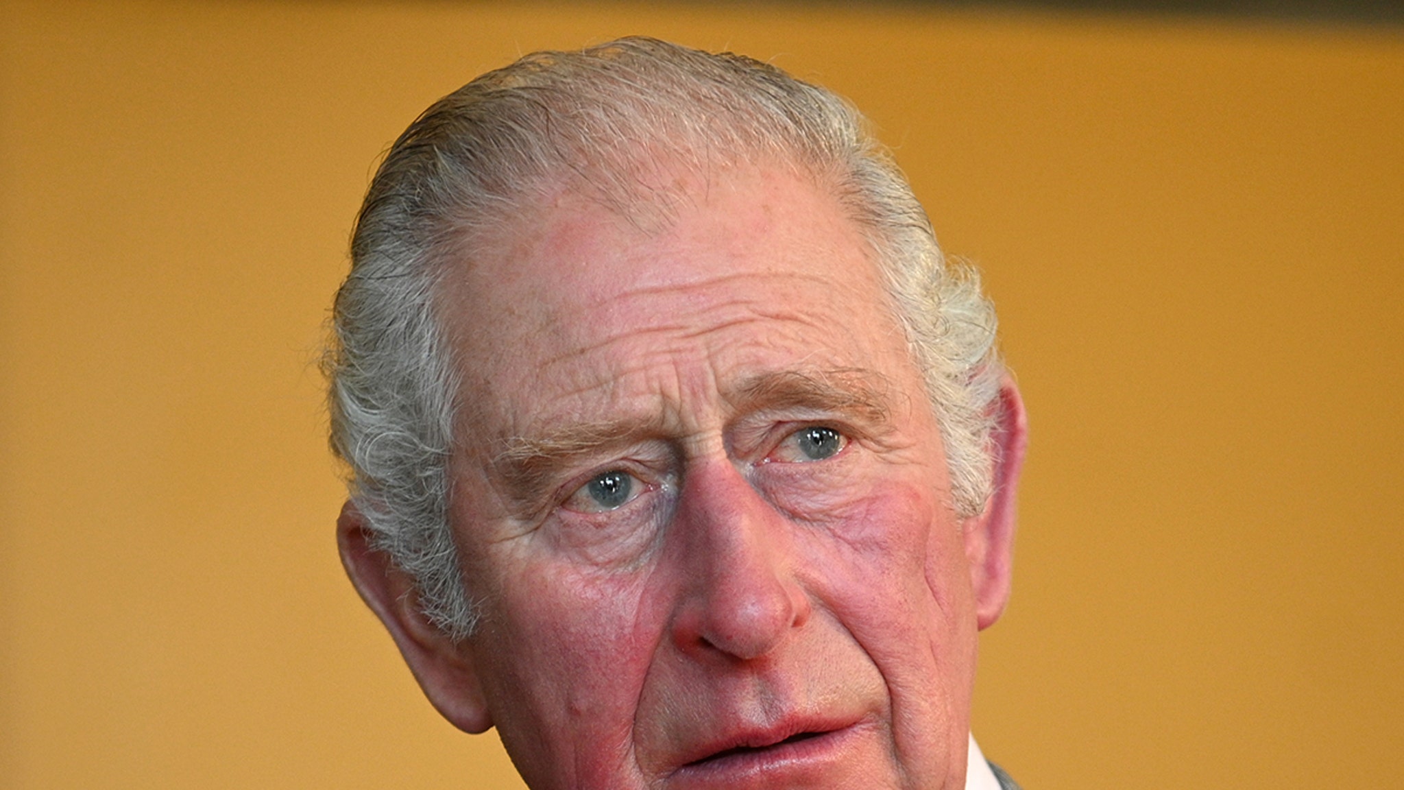 Prince Charles Asked About Skin Color of Harry and Meghan's Baby, New Book Claims