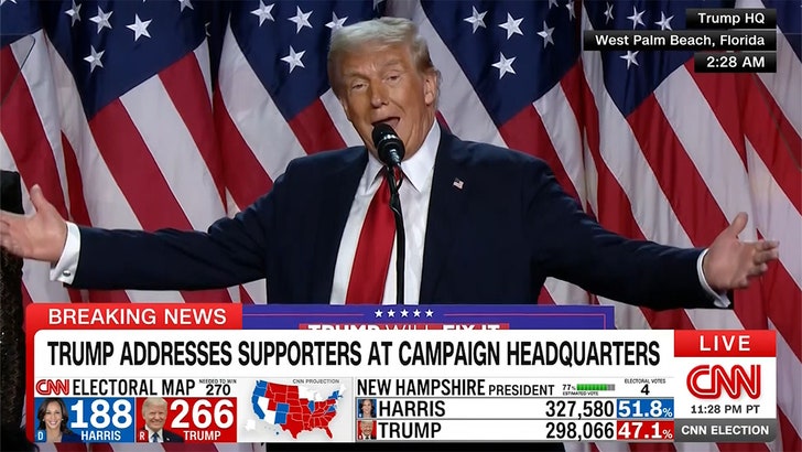 Donald Trump Wins 2024 Presidential Election