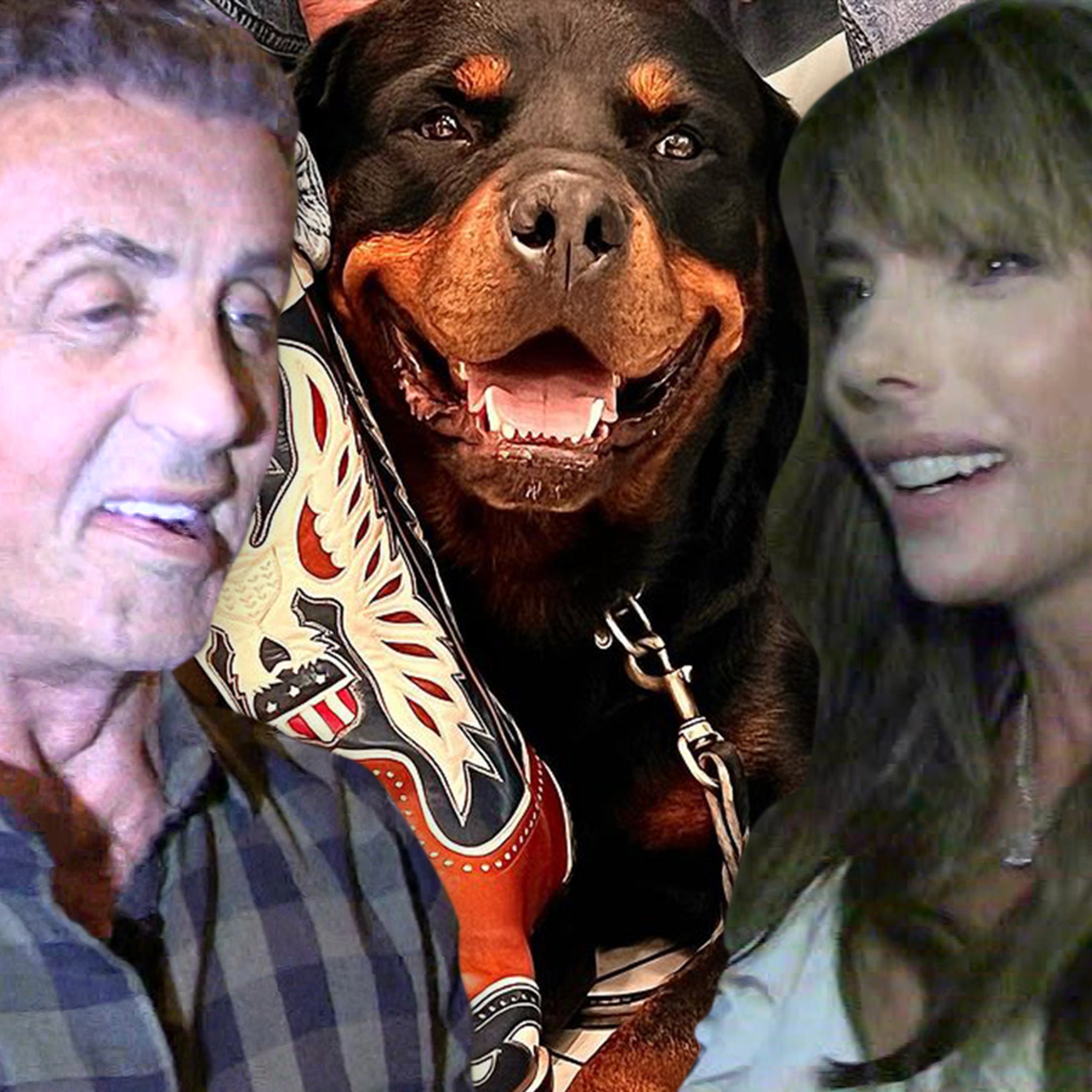 Sylvester Stallone Joined by Wife Jennifer Flavin at Ralph Lauren Show