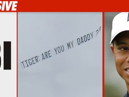 0622_fbi_tiger_banner_EX_getty_2