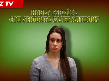 112811_casey_still_tv