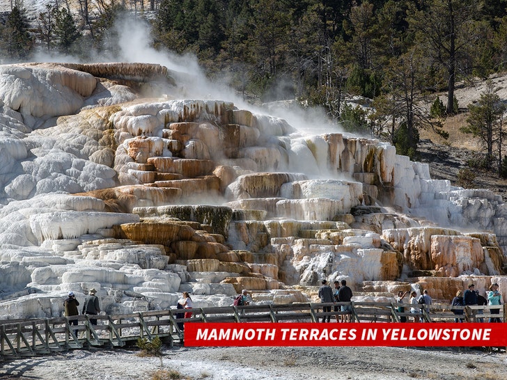 Mammoth Terraces in Yellowstone
