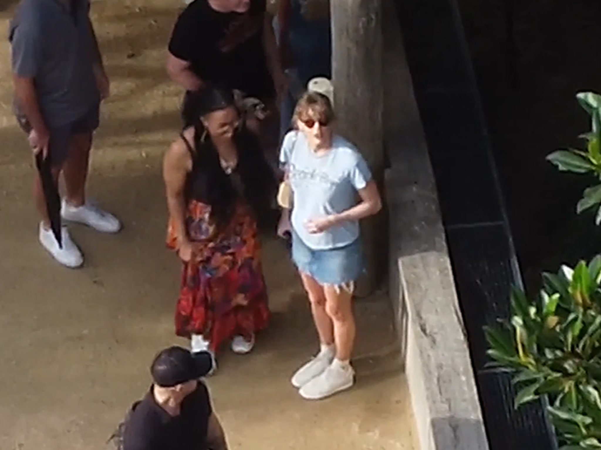 Taylor Swift Hits Sydney Zoo Ahead of Travis Kelce Reunion