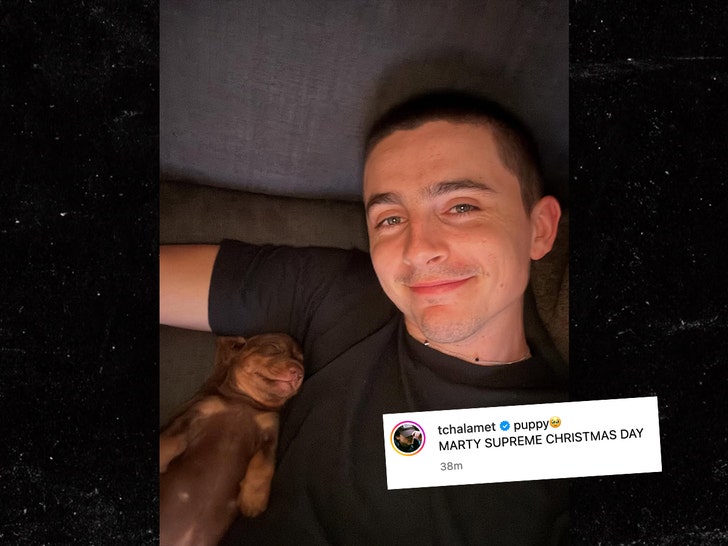 Timothée-Chalamet-ig-3